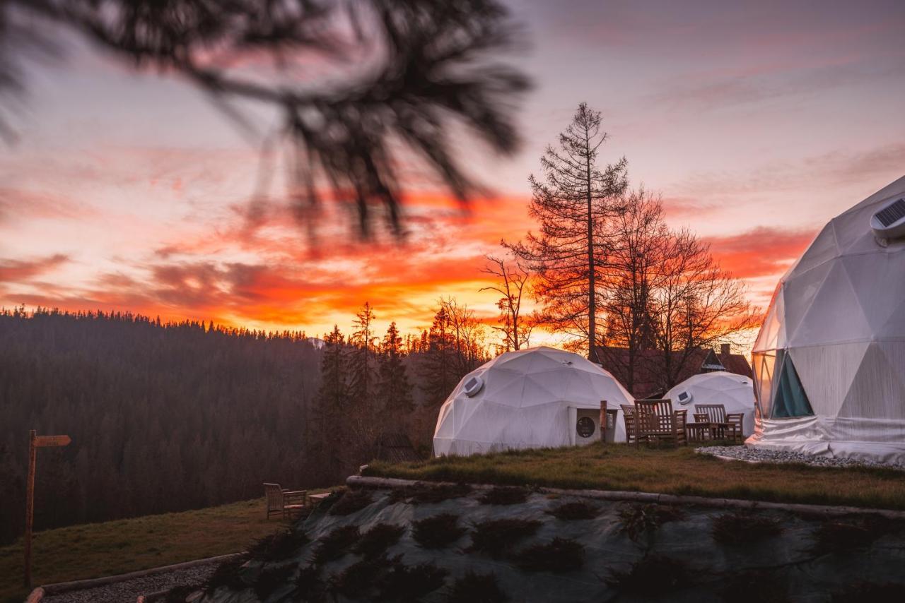 Hotel Tatra Glamp Bukowina Tatrzanska - Siec Noclegowa Tatra Glamp Exterior foto