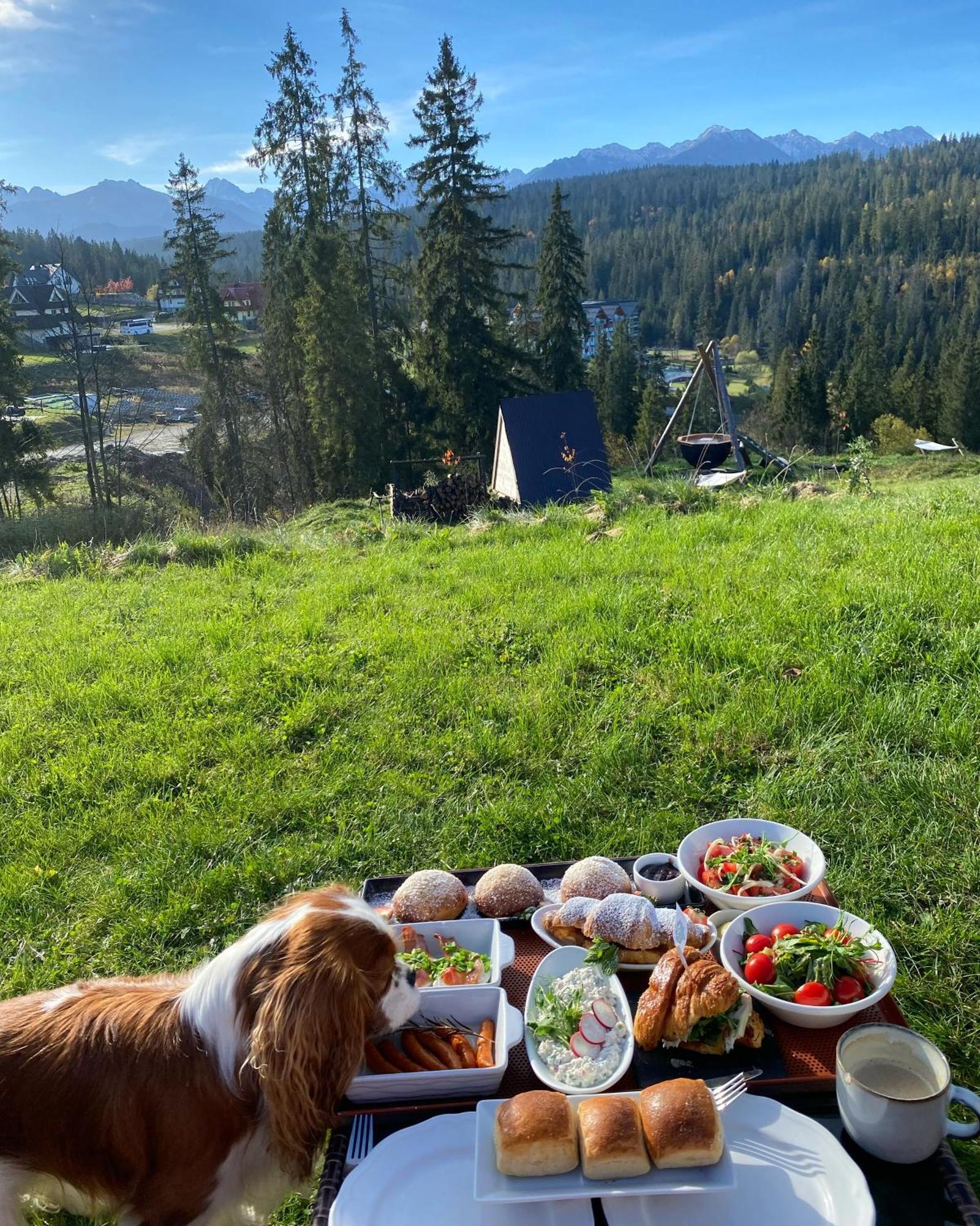 Tatra Glamp Bukowina Tatrzanska - Siec Noclegowa Tatra Glamp Exterior foto